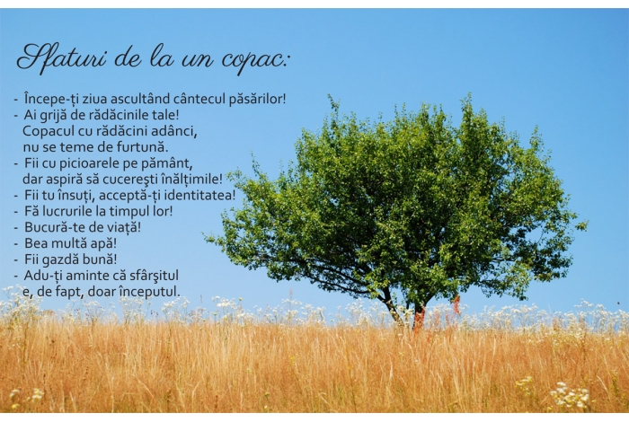 Cultul copacului