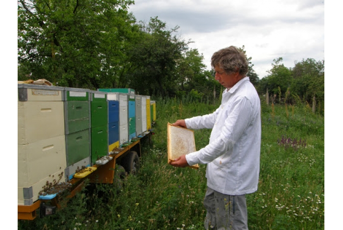 Incursiune în universul apicultorului Petru Moldovan