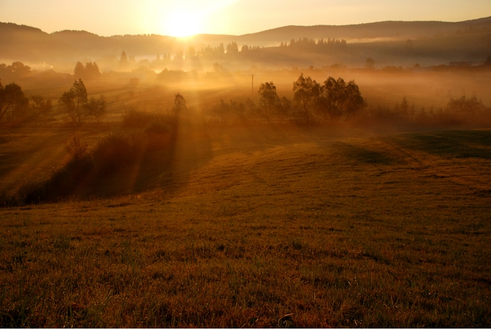Tabăra foto de la Vama Buzăului