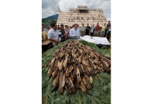 Festivalul Naţional al Păstrăvului