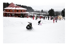 Activitatea Agenţiei pentru Dezvoltare Durabilă a Judeţului Braşov