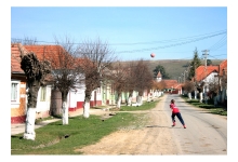 Ariujd