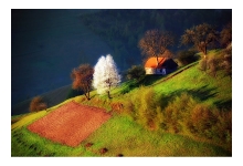 Al doilea Paște petrecut la Holbav