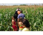 The Dragus Corn Labyrinth