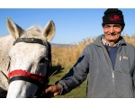 Homorod’s Animal Fairs Are Drawing the Big Crowds