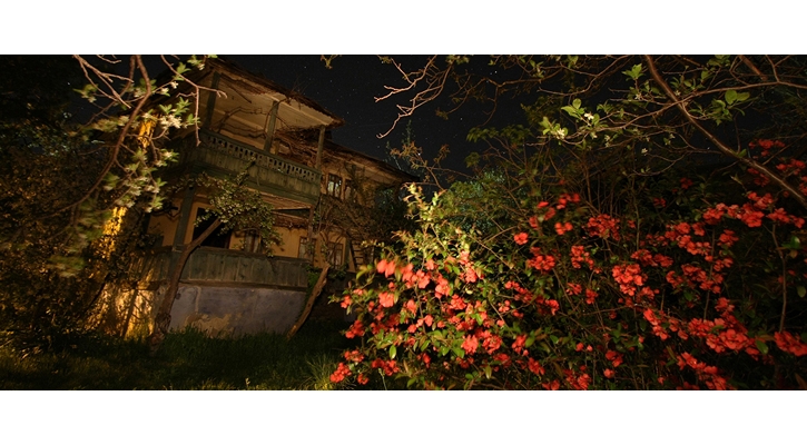 A Midsummer Night’s Ritual: The Festival of Sânziene
