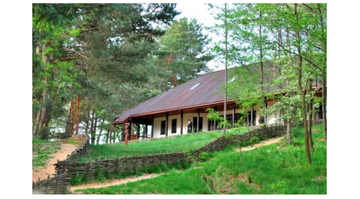 Şinca Veche
