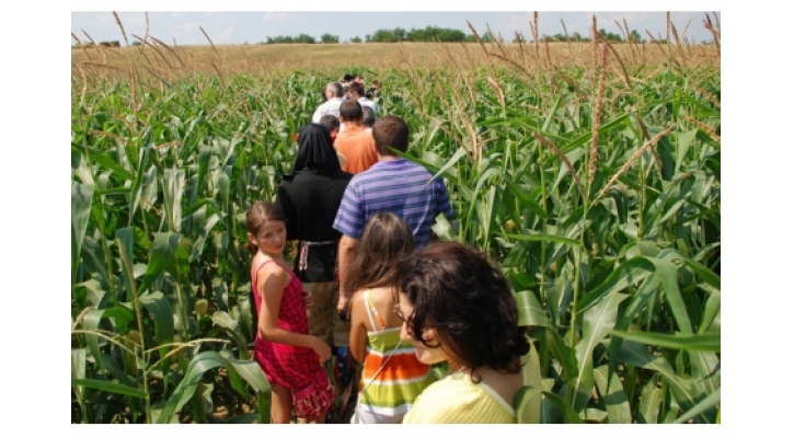 The Dragus Corn Labyrinth