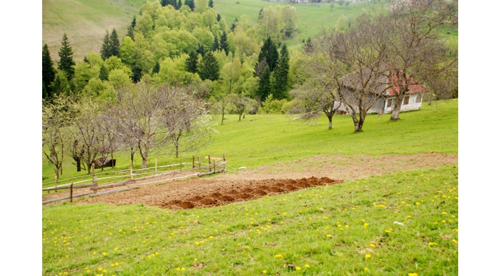Organic agriculture