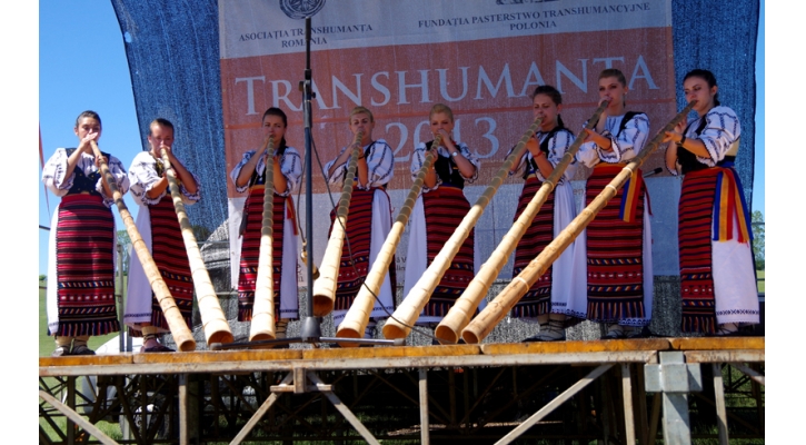 Transhumanta 2013