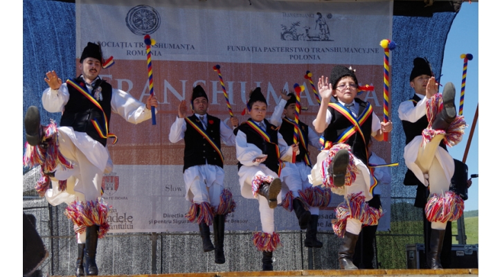 Transhumanta 2013
