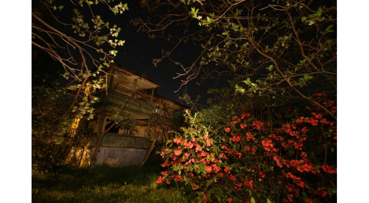 A Midsummer Night’s Ritual:  The Festival of Sânziene