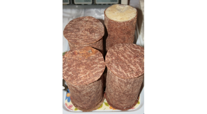 Sheep Cheese In Fir Tree Bark