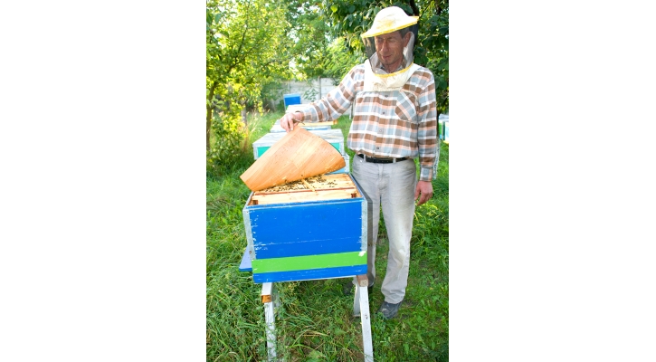 Bee Healthy! The Medicinal Purposes of Honey