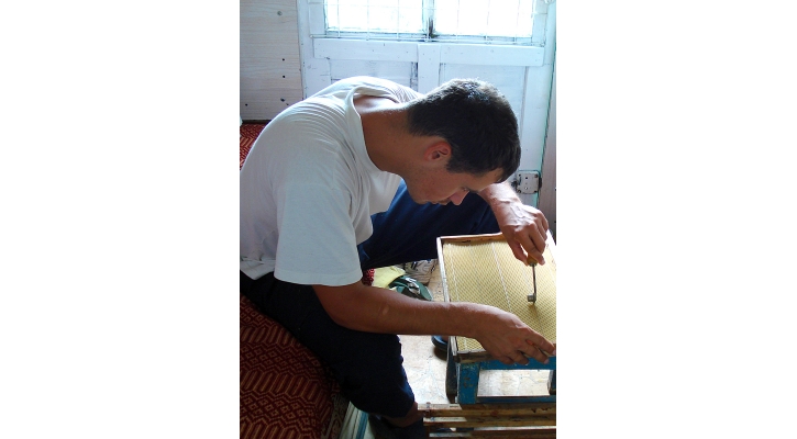 Bee Healthy! The Medicinal Purposes of Honey