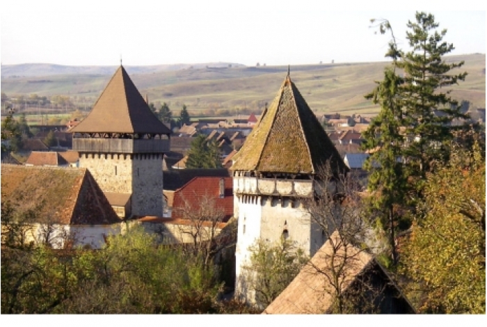 Premiul pentru literatură - Condeierul satului Caţa