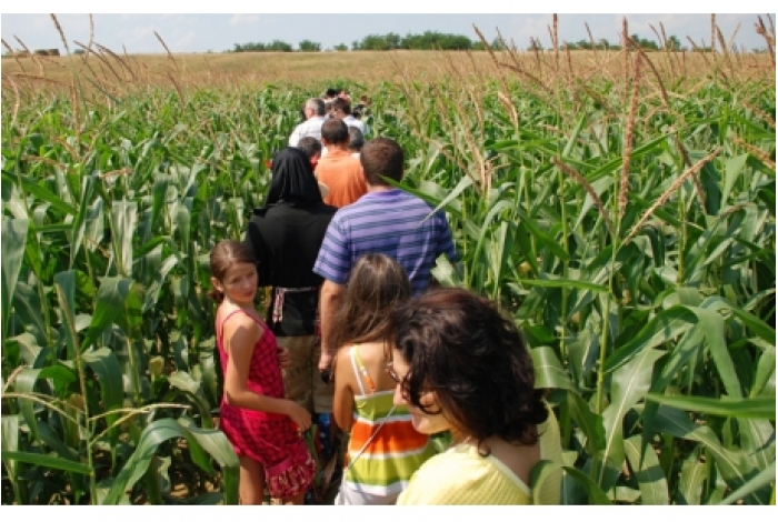 The Dragus Corn Labyrinth