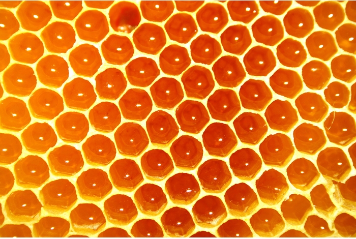 Bee Healthy! The Medicinal Purposes of Honey