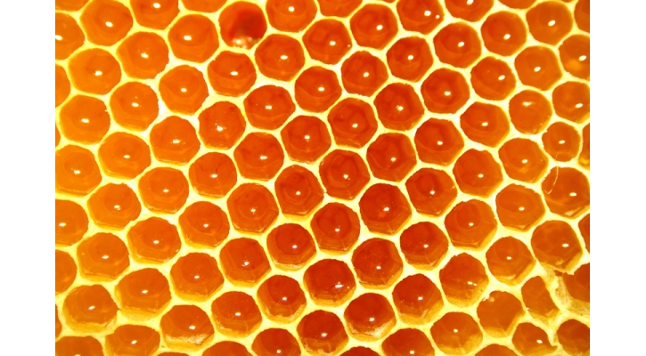 Bee Healthy! The Medicinal Purposes of Honey